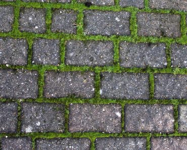 Help, weeds between the paving stones! This simple tip will remove your weeds really quickly!