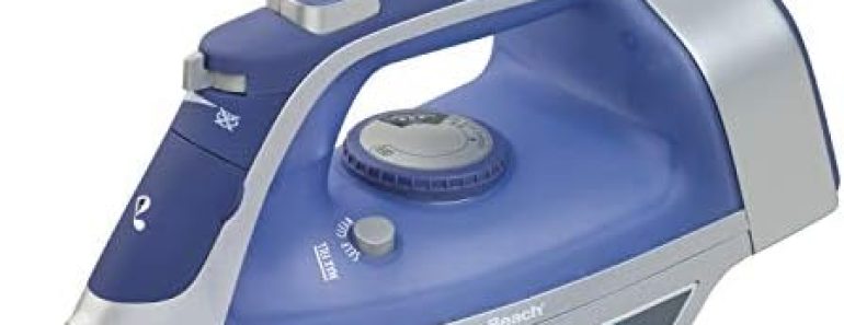 Hamilton Beach Steam Iron & Vertical Steamer for Clothes wit…