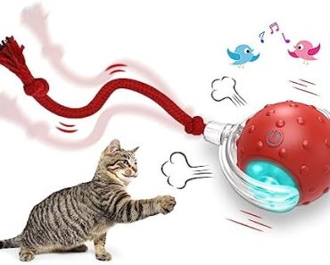 Giociv Interactive Cat Toys Ball for Indoor Cats Fast Rollin…