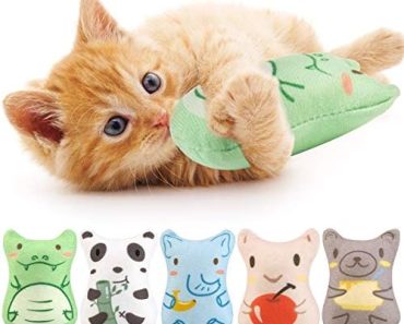Dorakitten Catnip Toys for Indoor Cats – 5PCS Plush Cat Chew…